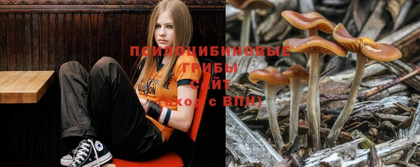 метадон Ладушкин