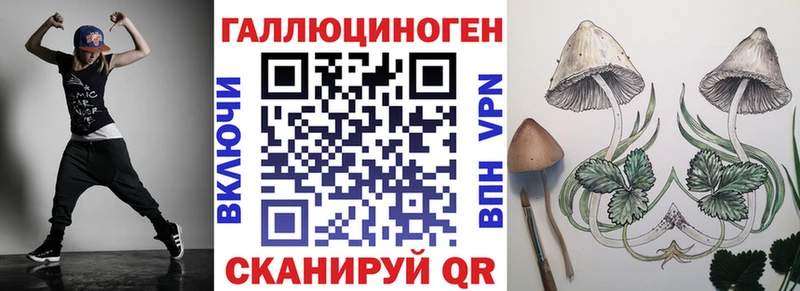 Купить где  Камбарка  Псилоцибиновые грибы Cubensis 